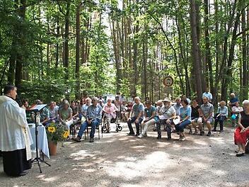 Der evangelisch-lutherische Pfarrer Ulrich Rauh und sein katholischer Kollege Bernhard Friedmann feierten auch dieses Jahr wieder einen &ouml;kumenischen Wald- und Wiesengottesdienst, zu dem viele Gl&auml;ubige aus Walsdorf, Burgebrach und anderen D&ouml;rfern der Umgebung kamen. Foto: Joseph Beck