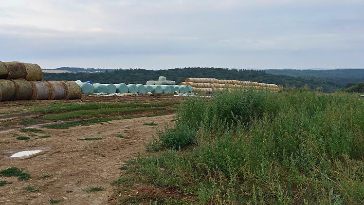 Unterhalb des Sportplatzes in Buch möchte ein Landwirt eine Biogasanlage errichten, die mit Gülle betrieben werden soll.