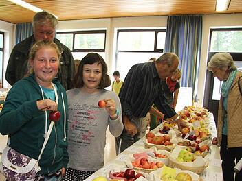 Äpfel in allen Größen, Farben und Formen soweit das Auge reicht, gab es in der Mehrzweckhalle in Schwarzach beim Apfelfest zu bestaunen.  Fotos: Sonja Adam