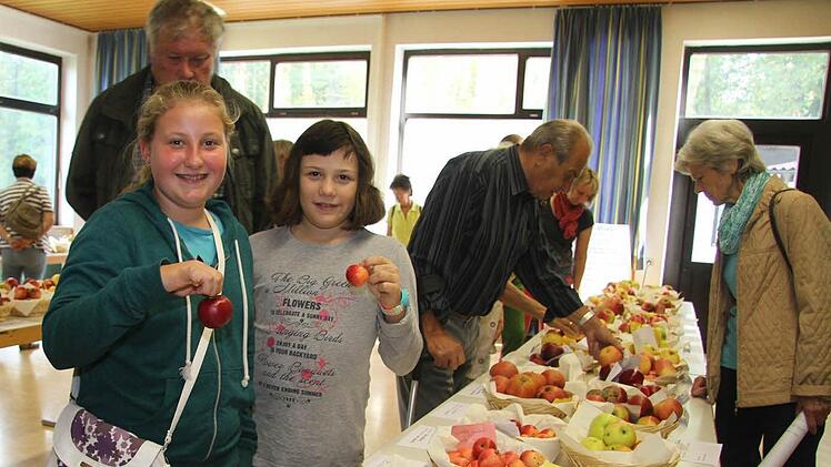 Äpfel in allen Größen, Farben und Formen soweit das Auge reicht, gab es in der Mehrzweckhalle in Schwarzach beim Apfelfest zu bestaunen.  Fotos: Sonja Adam