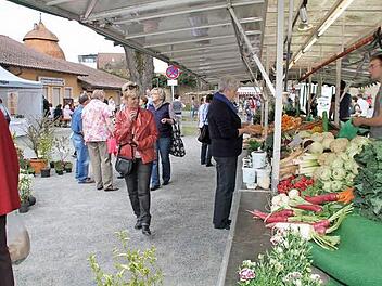 Beim ersten Grünen Markt im Kastenhof konnten sich die Besucher frisches Gemüse kaufen.  Foto: Gerda Völk