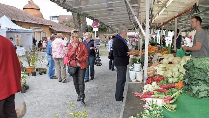 Beim ersten Grünen Markt im Kastenhof konnten sich die Besucher frisches Gemüse kaufen.  Foto: Gerda Völk