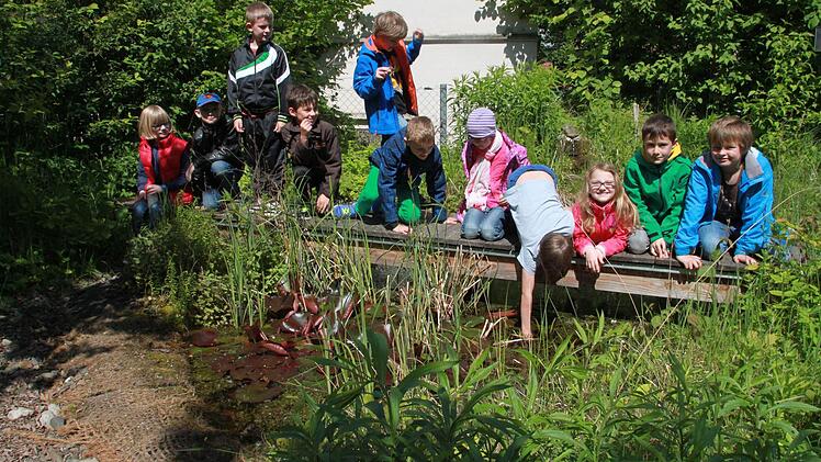 Im Schulgarten Kronacher Straße in Lichtenfels werden ebenfalls Bienen gehalten. Unterstützung erhalten die Kinder der Bienen-AG von der Umweltstation in Weismain. Foto: Ramona Popp