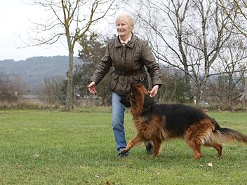 Die Schäferhündin Kira und ihre Besitzerin Doris Reingruber sind ein eingespieltes Team. Seit fast drei Jahren trainieren sie beim Schäferhundeverein Forchheim-Nord. Barbara Herbst
