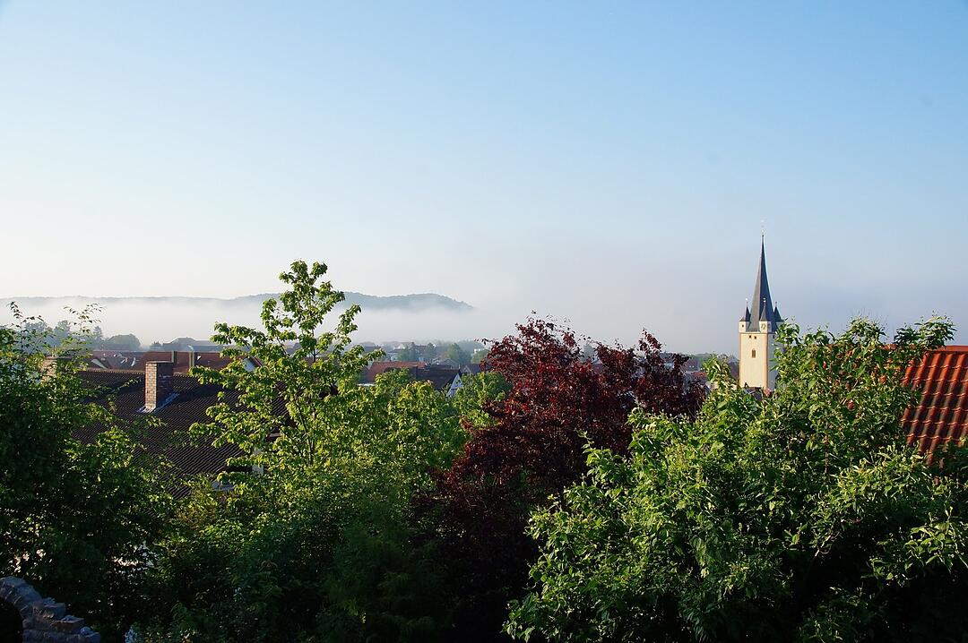 Die schönsten Fotos im Mai aus Haßfurt und Umgebung