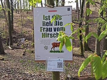 Hier ist eines der Projekte zu sehen.