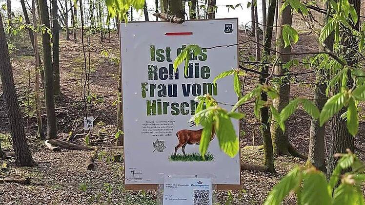 Hier ist eines der Projekte zu sehen.