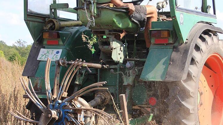 Das staubt schön: Der Roder bringt die Kartoffeln an die Oberfläche.