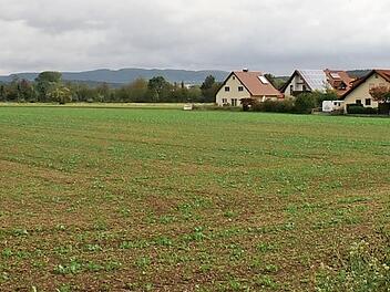 Noch ist der Bebauungsplan "Hergeten III", für den jetzt der Aufstellungsbeschluss verabschiedet wurde, eine Wiesenfläche. Foto: Renate Neubecker