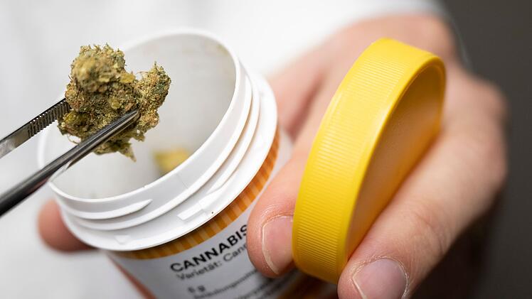 Cannabis