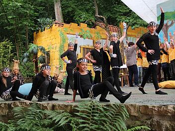 Talent und Können bewiesen die Mitglieder der Tanzgruppe. Fotos: Werner Zoufal