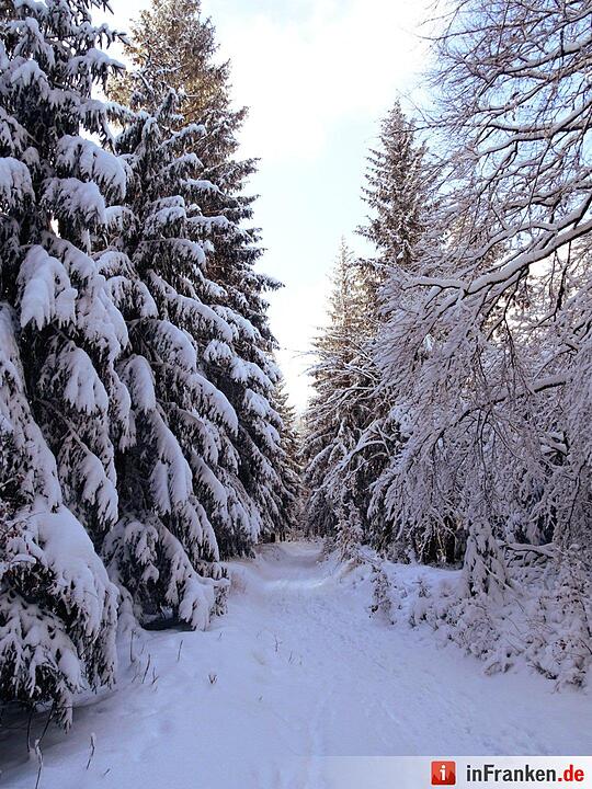 Eis und Schnee in Franken - die schönsten Winterleserfotos