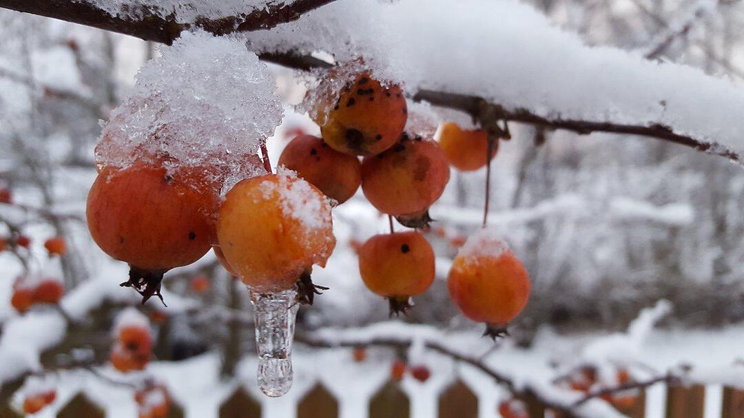 Schnee und Eis - Die schönsten Aufnahmen aus Franken