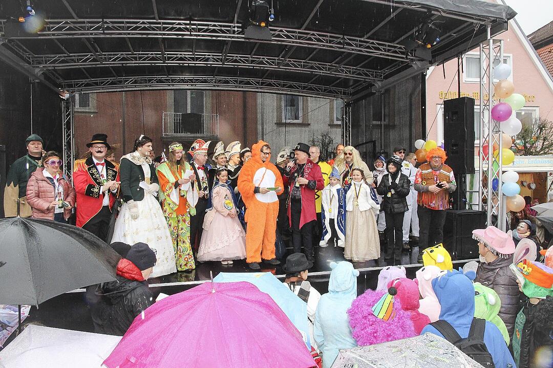 Narrentreiben in Stadtsteinach 2024