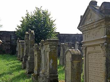 Auf dem Burghaslacher Judenfriedhof finden sich Grabsteine aus drei Jahrhunderten. Fotos: Pauline Lindner