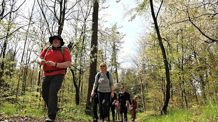 5. Frankenwald-Wandermarathon in Kulmbach Foto: Ferdinand Merzbach
