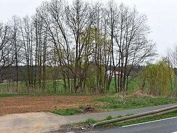Auf dieser Fläche am Sportplatz in Stöckach soll das Naturhotel entstehen. Foto: