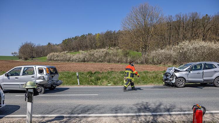 Hund bei Verkehrsunfall verletzt
