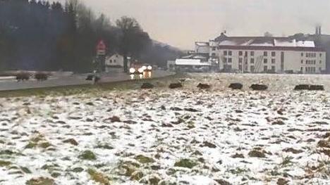 Zu sehen ist eine Szene aus dem Handy-Video. Im Hintergrund steht das Seniorenhaus des Kronacher BRK.  Foto: Privat/Screenshot