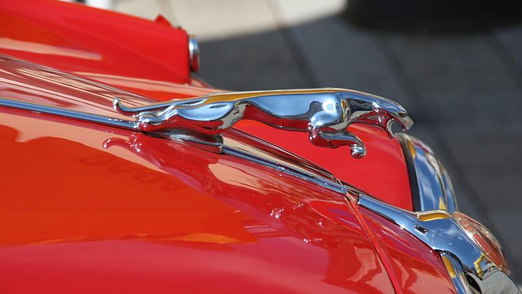 Das Emblem eines Jaguar MK II Matthias Einwag