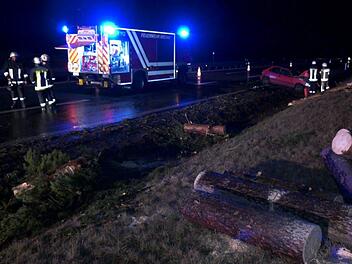 Der Baum wurde durch den Sturm "Bennet" entwurzelt und stürzte auf die A93. Foto: NEWS5/Wellenhöfer