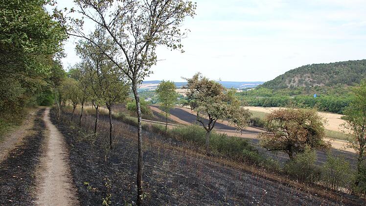 So sieht der Hang gegenüber der Autobahn am Klöffelsberg (im Hintergrund) nach dem Brand aus. Foto: Ralf Ruppert