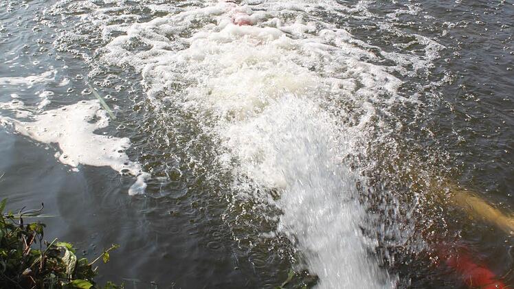 Frisches Mainwasser sprudelt in den See und trägt dazu bei, den Sauerstoffgehalt zu verbessern. Foto: Matthias Einwag