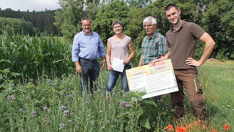 Die Landwirte des Landkreises Lichtenfels sehen ihre Leistungen für den Erhalt einer intakten Umwelt nicht annähernd gewürdigt. Zum Jubiläum "100 Jahre Freistaat Bayern" hatte Daniel Warmuth (rechts) einen "blühenden Rahmen" um sein Maisfeld am Ortsrand von Tiefenroth angelegt. Mit auf dem Bild sind (von links) Kreisobmann Bienlein, Kreisbäuerin Warmuth und BBV-Geschäftsführer Rebelein. Archivfoto: Gerda Völk