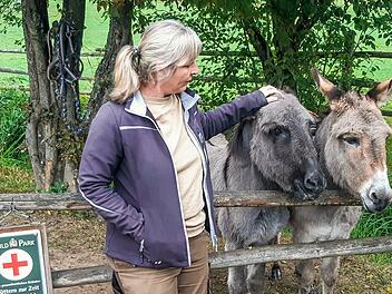 Die Esel im Wildpark sind 40 Jahre alt und haben kaum mehr Zähne. Sie dürfen von Besuchern überhaupt nicht gefüttert werden.