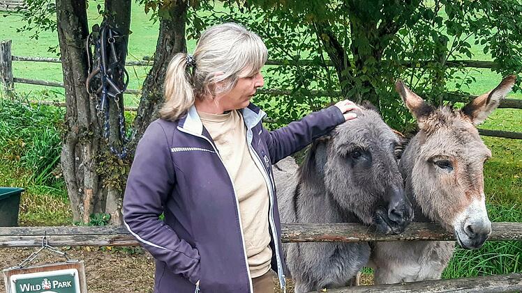 Die Esel im Wildpark sind 40 Jahre alt und haben kaum mehr Zähne. Sie dürfen von Besuchern überhaupt nicht gefüttert werden.