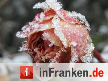 Eis und Schnee in Franken - die schönsten Winterleserfotos