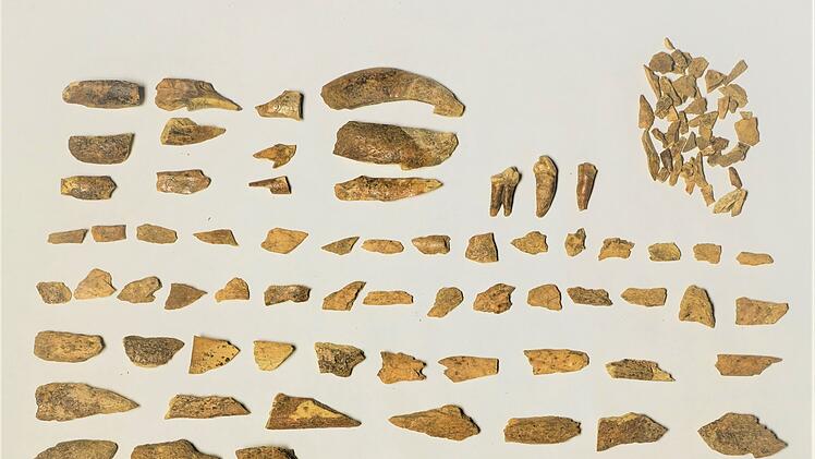 Sensationelle Entdeckung bei Grabung in Franken: Archäologen machen Steinzeit-Fund - "extrem selten"