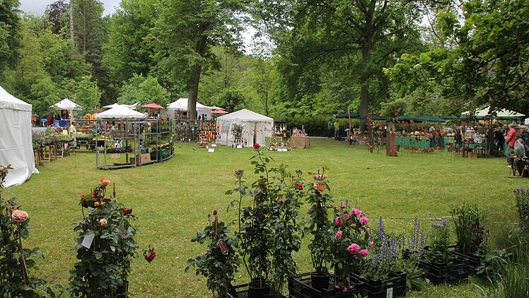 Am vergangenen Wochenende verwandelte sich der Park des Wasserschlosses Mitwitz beim 5. Fränkischen Gartenfest in ein Blütenmeer und Gartenparadies. Foto : Herbert Fischer
