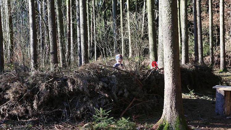 Foto: Barbara Herbst