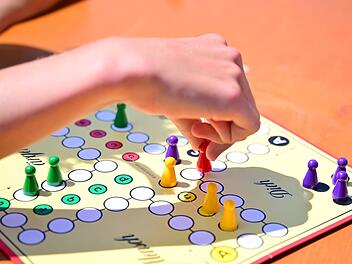 Mensch &auml;rgere dich nicht