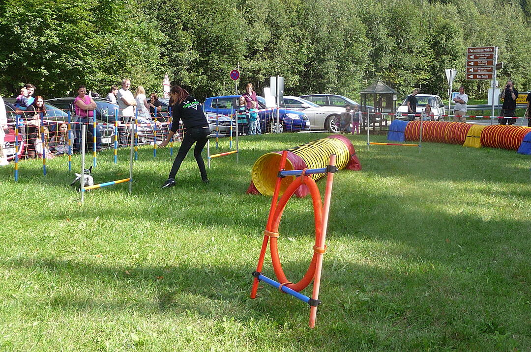 19.8.2017 Tierheimfest Kulmbach
