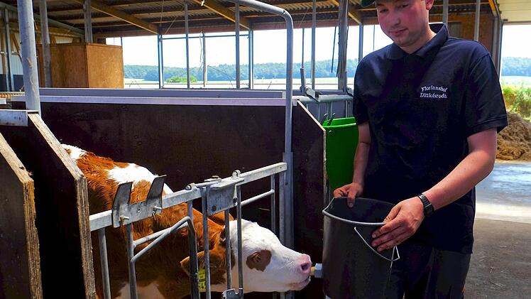 Prüfung am lebenden Objekt: Der angehende Landwirt-Facharbeiter Andre Schneider stillt einem Kalb im Milchviehstall von Adrios Florianshof den Durst. Foto: Gerd Schaar