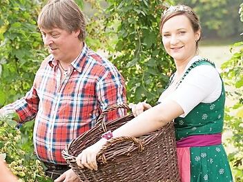 Tina-Christin Rüger bei der Hopfenernte in Kronach. Die frühere bayerische Bierkönigin hat sich dafür eingesetzt, eine Bewerbung für die Cranach-Stadt als Genussort einzureichen.  Foto: Maximilian Gröger