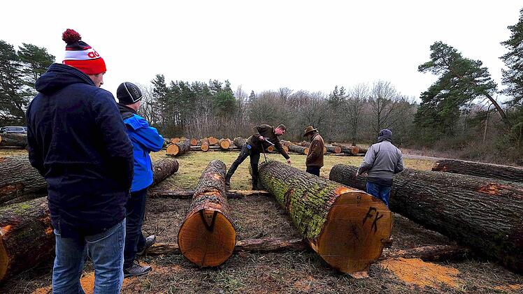 Holzversteigerung in Oberthulba. Foto: Gerd Schaar