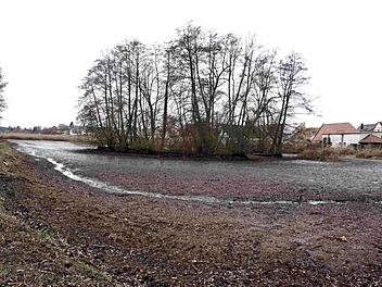 Der derzeit abgelassene Badweiher soll naturnah gestaltet werden, um Wasservögeln auch künftig eine Heimat zu bieten. Richard Sänger