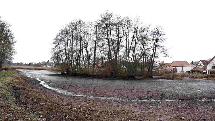 Der derzeit abgelassene Badweiher soll naturnah gestaltet werden, um Wasservögeln auch künftig eine Heimat zu bieten. Richard Sänger