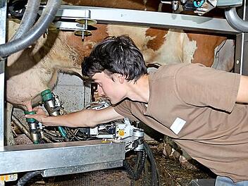 André Steiner zeigt bei der Prüfung zum Landwirt, dass er sich am Melkroboter auskennt. Fotos: Rainer Lutz
