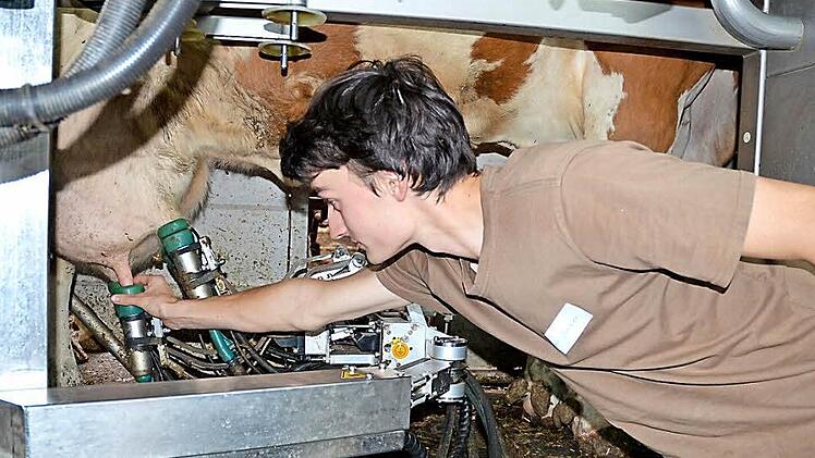 André Steiner zeigt bei der Prüfung zum Landwirt, dass er sich am Melkroboter auskennt. Fotos: Rainer Lutz