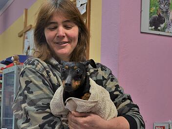 Katrin Meserth vom Tierheim Kronach rät, sich vor dem Hundekauf gut zu informieren. Das haben unsere Facebook-Nutzer offenbar getan, die nach unserem Aufruf auf dieser Seite ihre Lieblinge im Bild vorstellen. Foto: Sandra Hackenberg