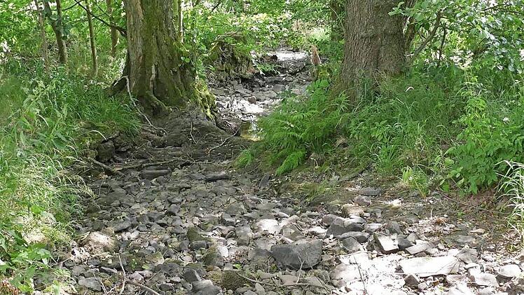 Der Buchbach: Wo sonst idyllisch das Flüsschen fließt, zeigt sich jetzt ein tristes Bild. Fotos: Cordula Kelle-Dingel