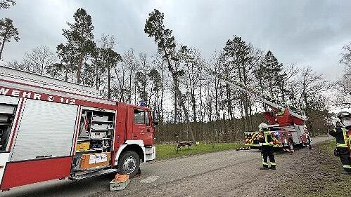Nach den St&uuml;rmen drohen im Kreis Forchheim wie hier in Heroldsbach B&auml;ume umzust&uuml;rzen.