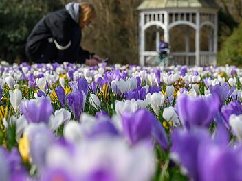 Fr&uuml;hlingserwachen - M&auml;rz-Bilanz DWD