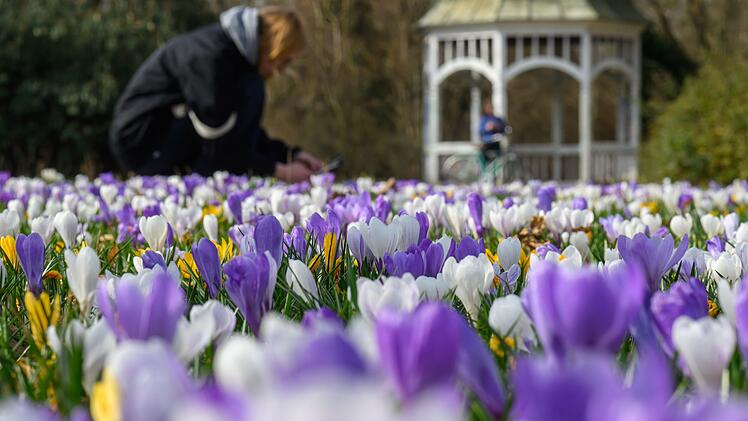 Fr&uuml;hlingserwachen - M&auml;rz-Bilanz DWD