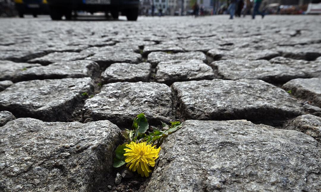 Fr&uuml;hling in Th&uuml;ringen