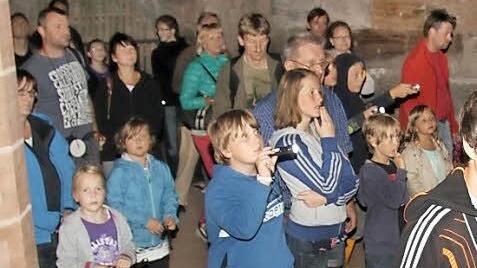 Schnell wie der Blitz huschen die Fledermäuse durch die dunklen Burgkeller. Die meisten Besucher haben Taschenlampen dabei und können damit einen Blick auf die Tiere erhaschen.